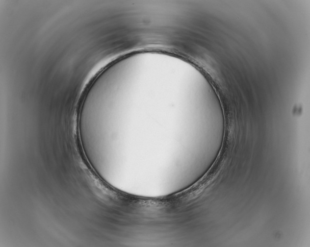 X0000089931420200707201830