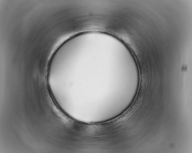 X0000089931421200707201830