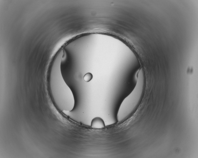 X0000089931422200707201830