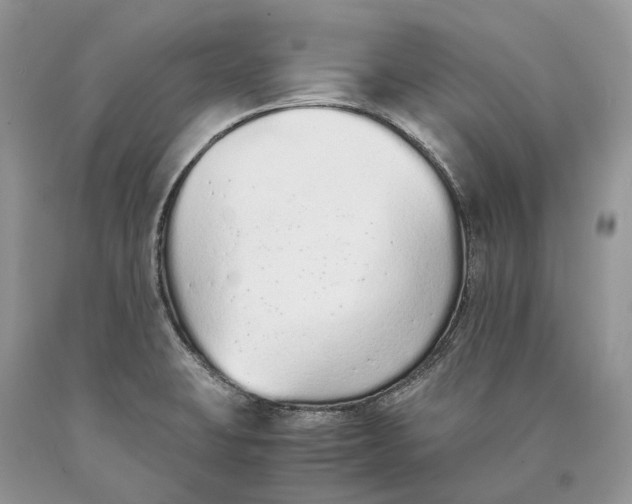 X0000089931423200707201830