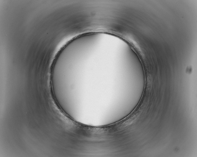 X0000089931424200707201830