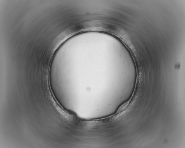 X0000089931425200707201830