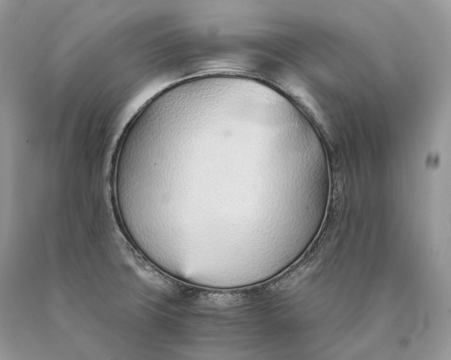 X0000089931427200707201830