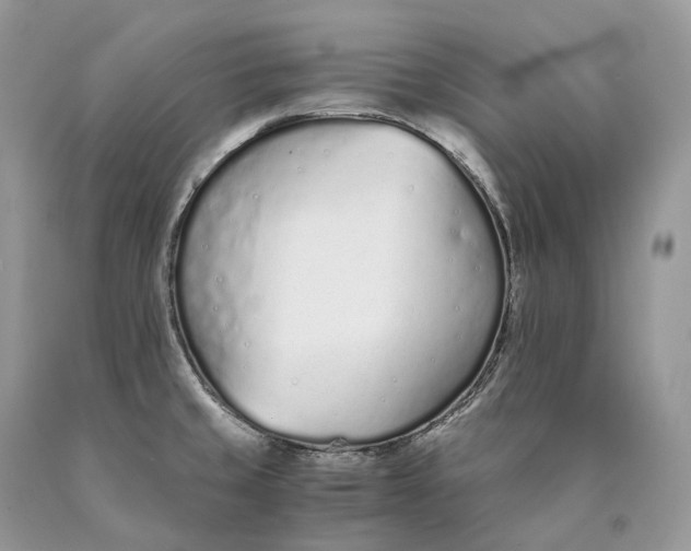 X0000089931429200707201830