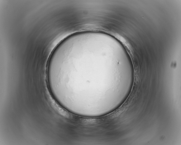 X0000089931431200707201830