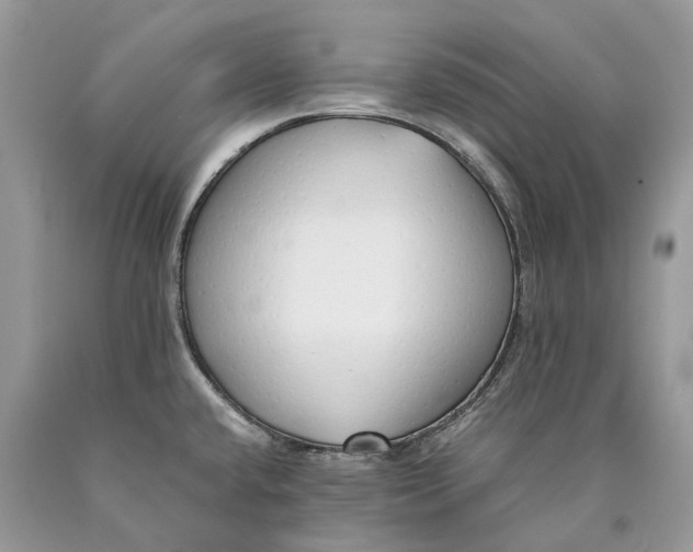 X0000089931432200707201830