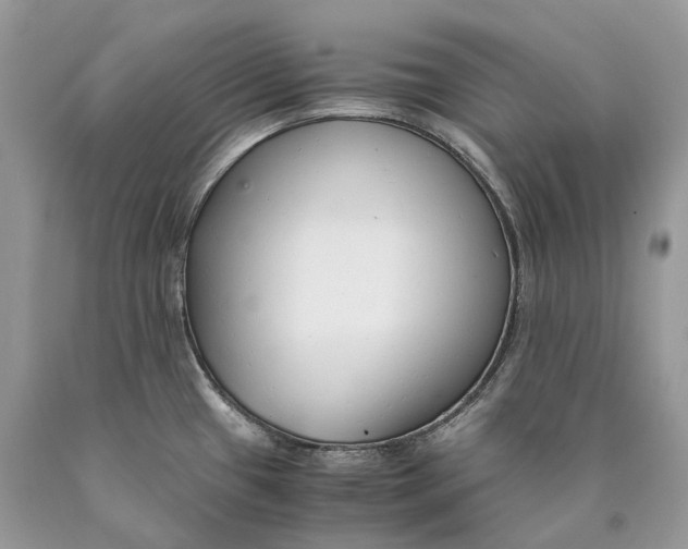 X0000089931433200707201830