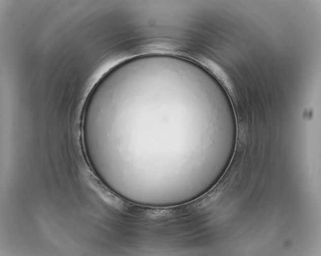 X0000089931435200707201830