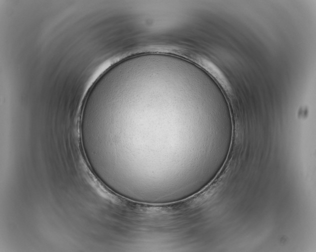 X0000089931436200707201830