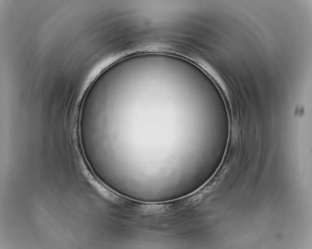 X0000089931437200707201830