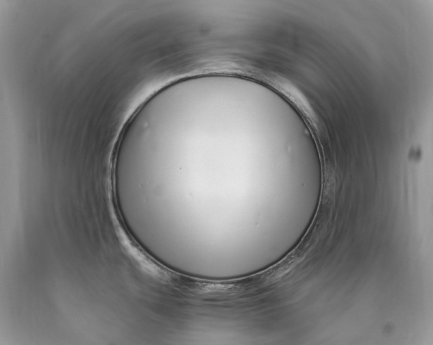 X0000089931439200707201830