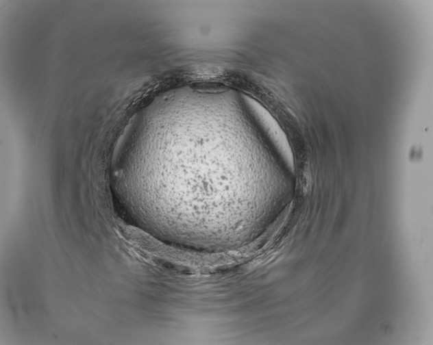 X0000089931441200707201830