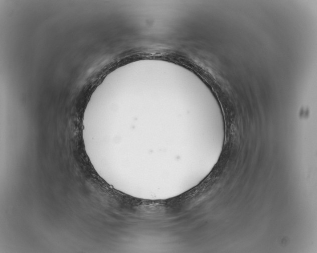 X0000089931447200707201830