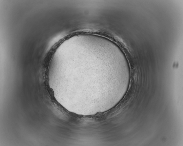 X0000089931448200707201830