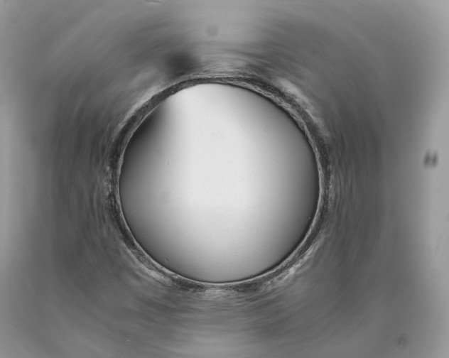 X0000089931449200707201830