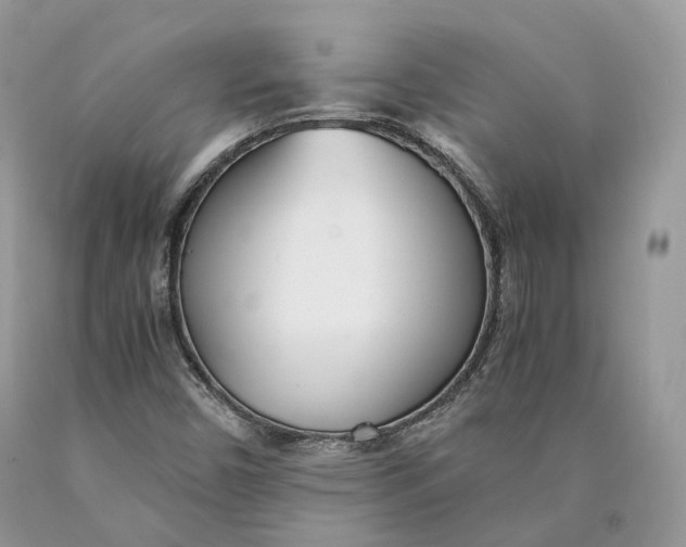 X0000089931450200707201830