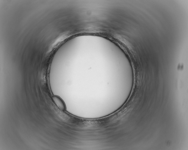 X0000089931451200707201830