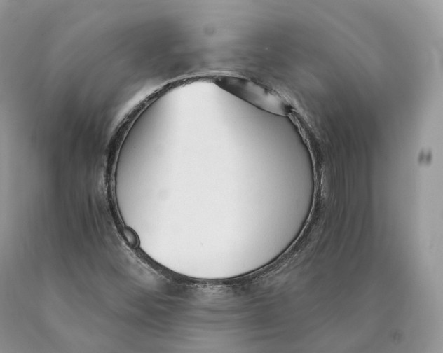 X0000089931452200707201830