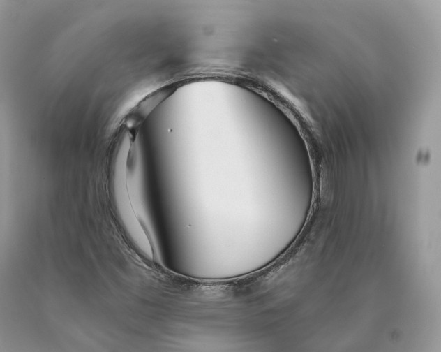 X0000089931453200707201830