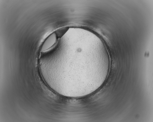 X0000089931459200707201829