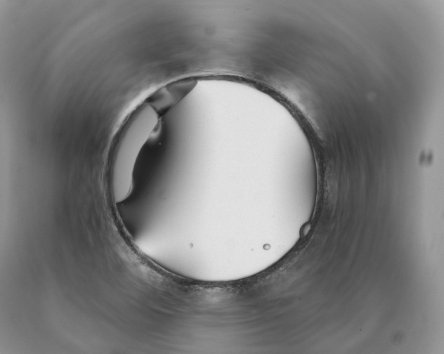 X0000089931460200707201829