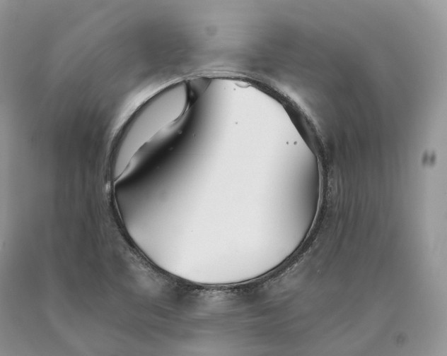 X0000089931461200707201829