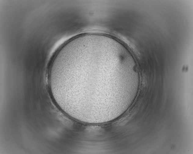 X0000089931462200707201829