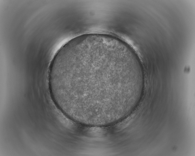 X0000089931463200707201829