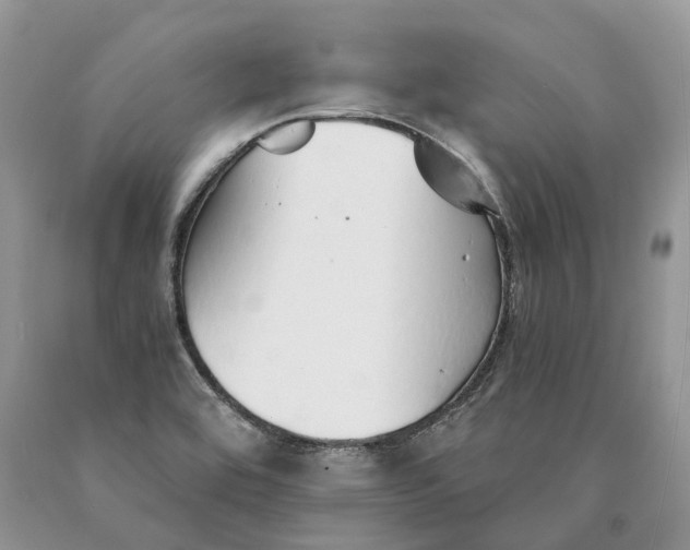 X0000089931464200707201829