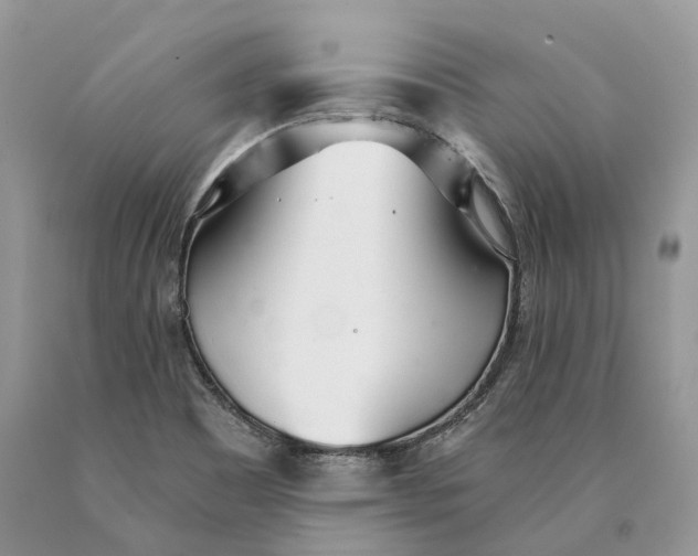 X0000089931465200707201829