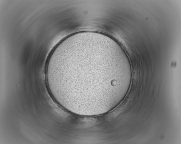 X0000089931466200707201829