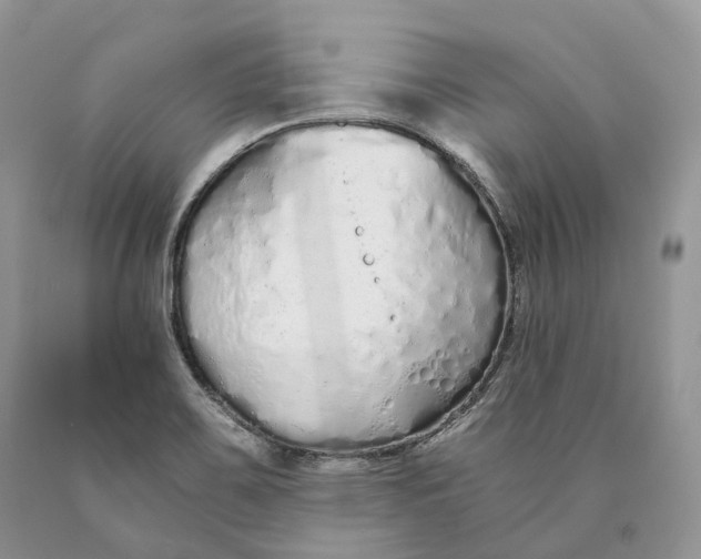 X0000089931467200707201829