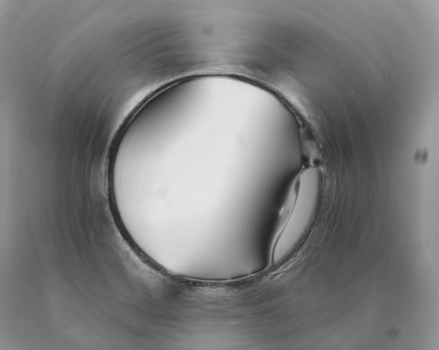 X0000089931468200707201829