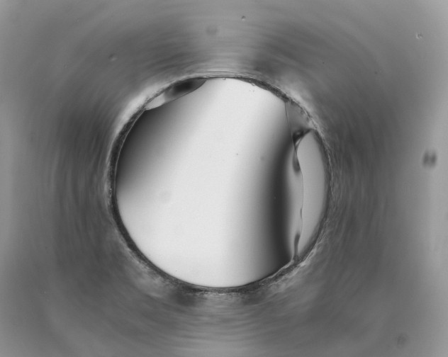 X0000089931469200707201829