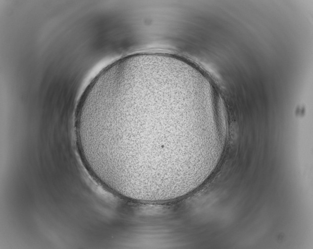 X0000089931470200707201829