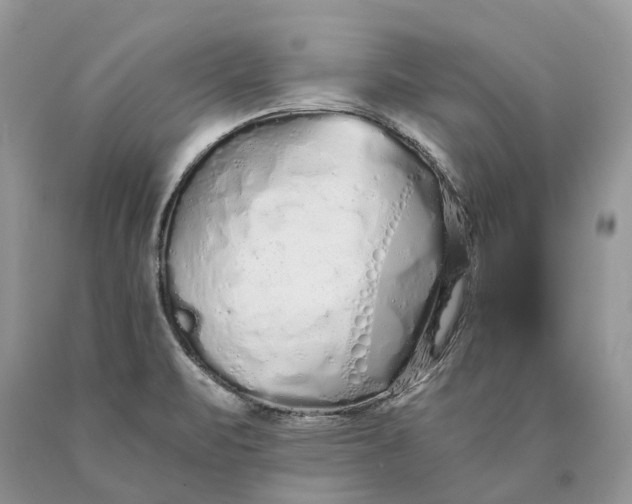 X0000089931471200707201829