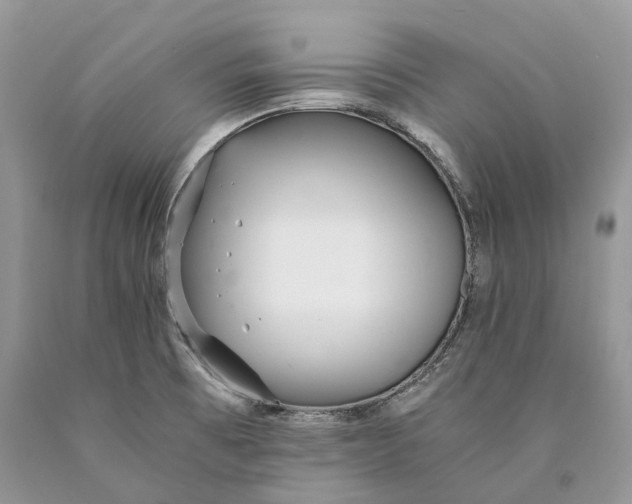 X0000089931473200707201829