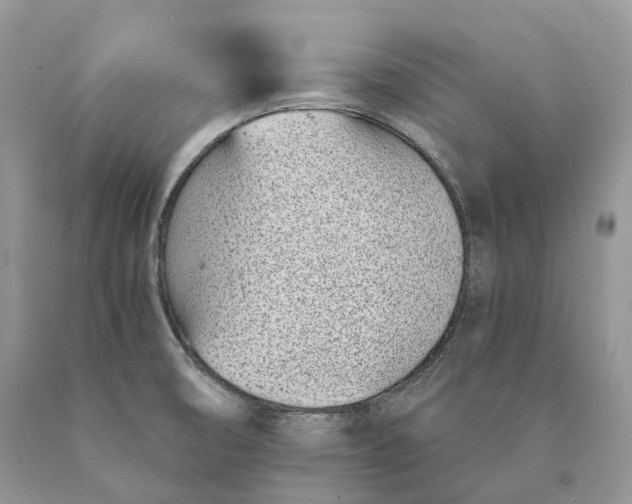 X0000089931474200707201829