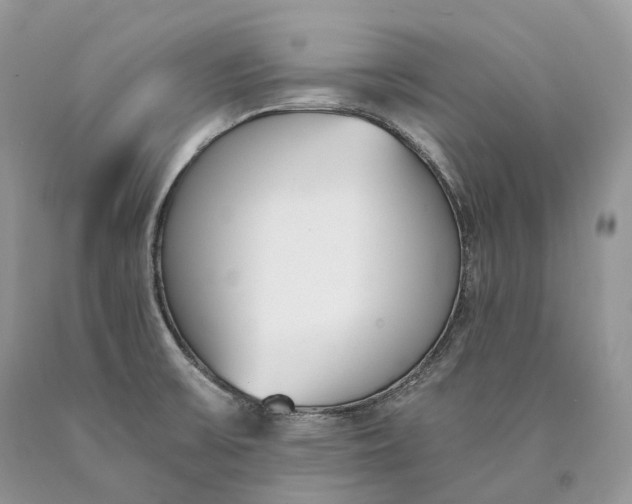 X0000089931475200707201829