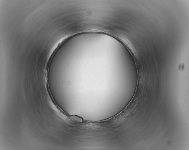 X0000089931476200707201829