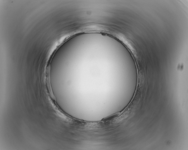 X0000089931477200707201829