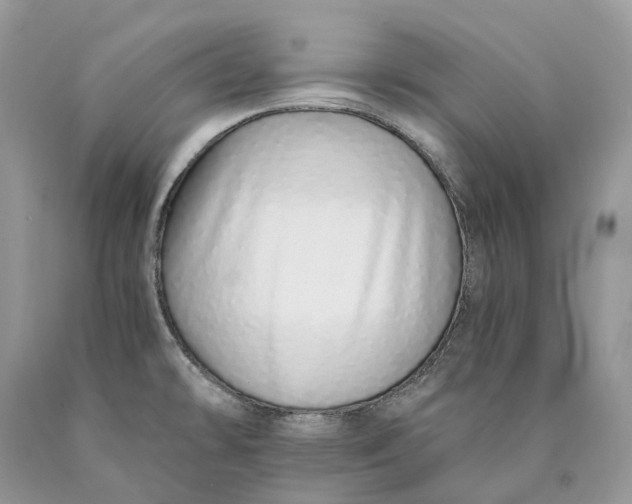 X0000089931478200707201829