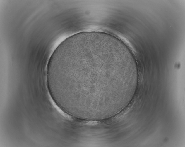 X0000089931479200707201829