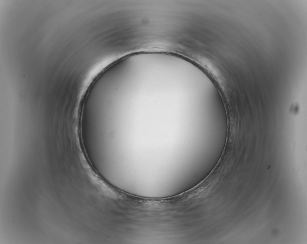 X0000089931480200707201829