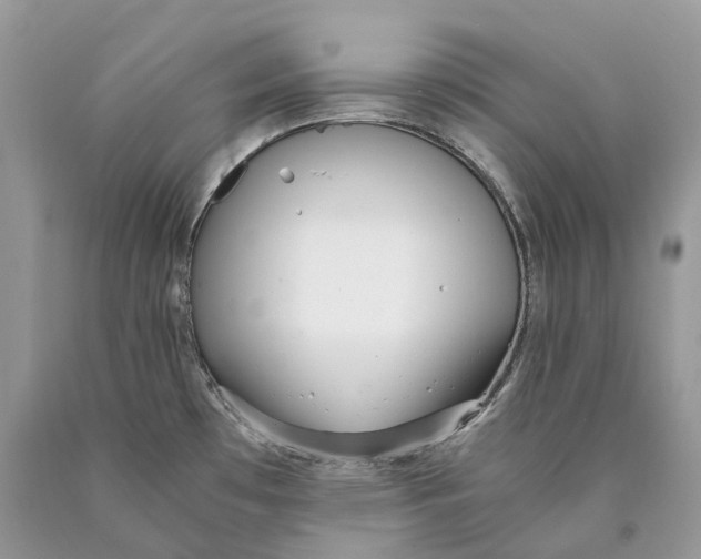 X0000089931481200707201829