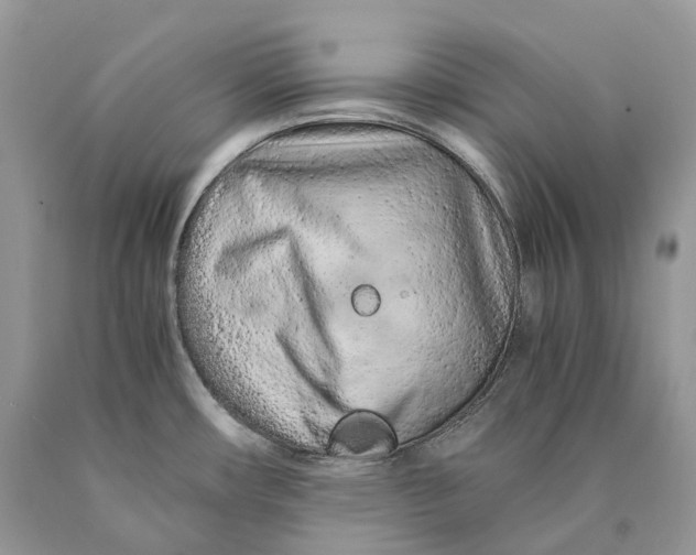 X0000089931482200707201829