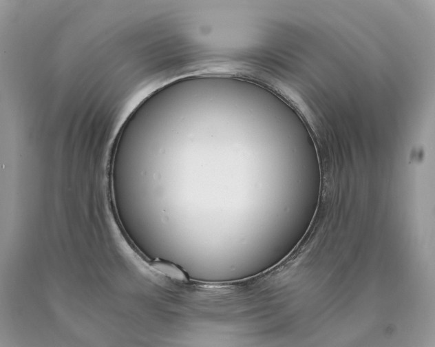 X0000089931483200707201829