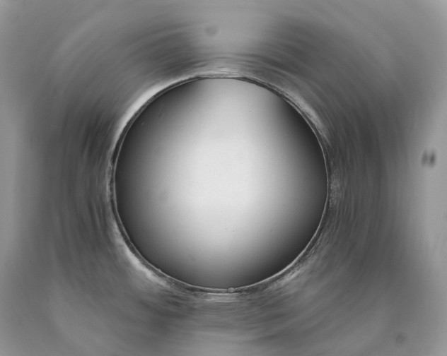 X0000089931484200707201829