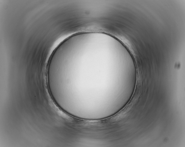 X0000089931486200707201829