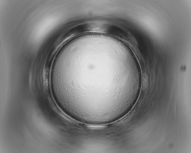 X0000089931487200707201829